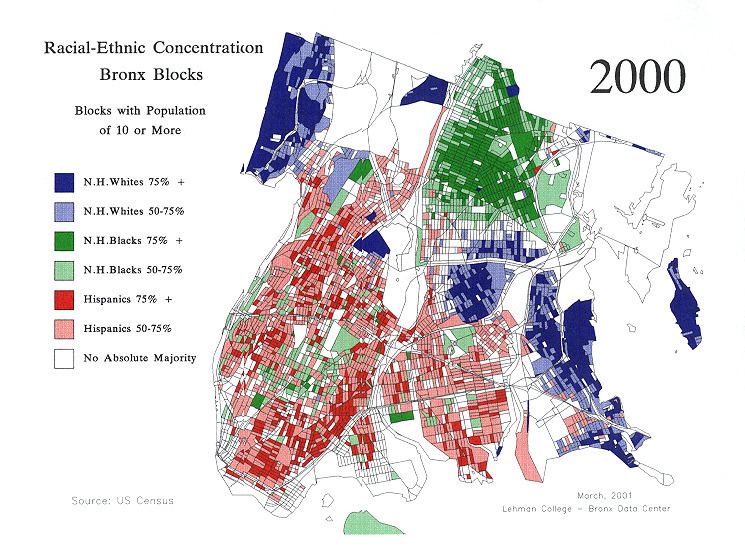 Demographics of the Bronx