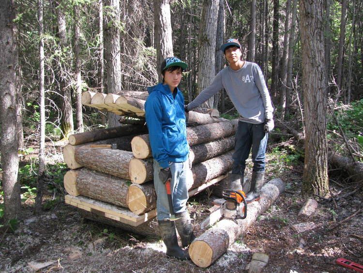 Dene Tha' First Nation About Northern Alberta Wolverine Project