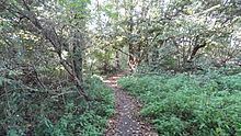 Denham Lock Wood httpsuploadwikimediaorgwikipediacommonsthu
