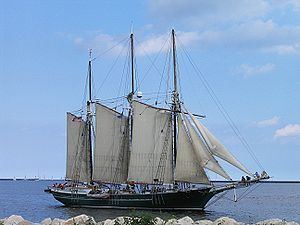 Denis Sullivan (schooner) Denis Sullivan schooner Wikipedia