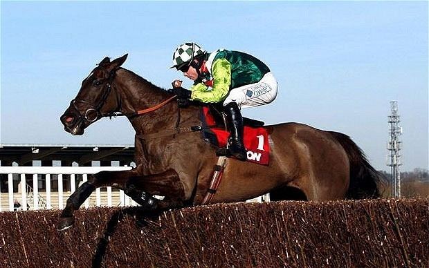 Denman (horse) The Geezer Glass Half Full of Hennessy The Saver