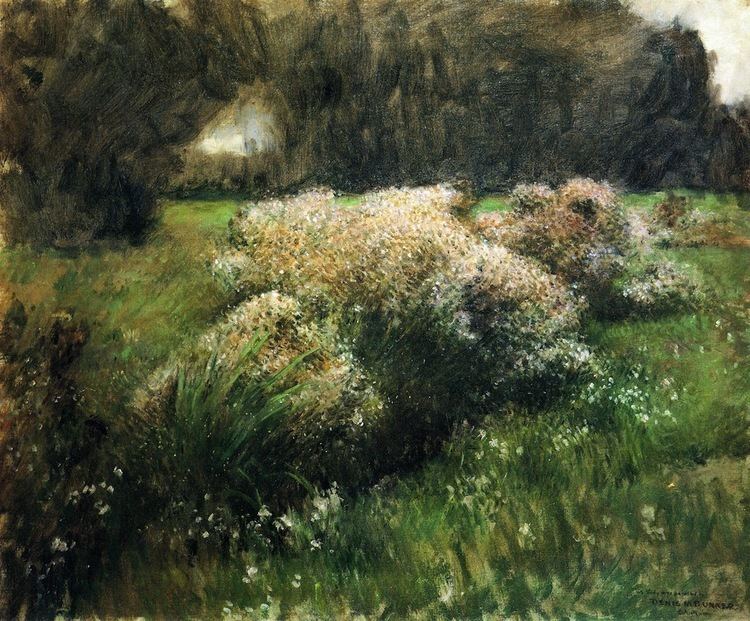 Dennis Miller Bunker The Athenaeum Wild Asters Study Dennis Miller Bunker