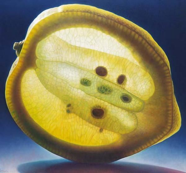 Dennis Wojtkiewicz Incredible Photorealistic Paintings of Delicious Fruit