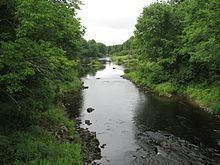 Dennys River httpsuploadwikimediaorgwikipediacommonsthu