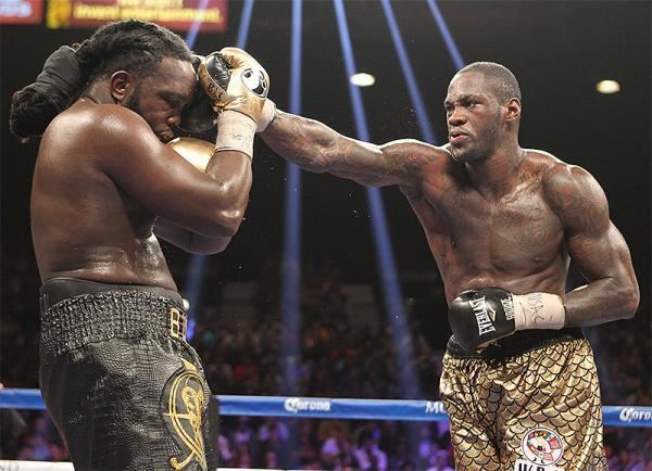 Deontay Wilder Boxing Preview Deontay Wilder vs Eric Molina