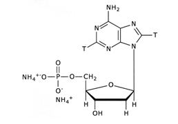 Deoxyadenosine 239Deoxyadenosine539monophosphate diammonium salt3H ViTrax