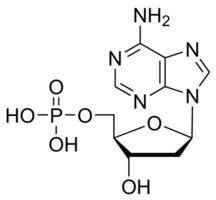 Deoxyadenosine monophosphate 2Deoxyadenosine 5monophosphate Sigma Grade 98100 SigmaAldrich