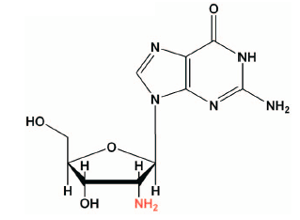 Deoxyguanosine 239Amino239deoxyguanosine