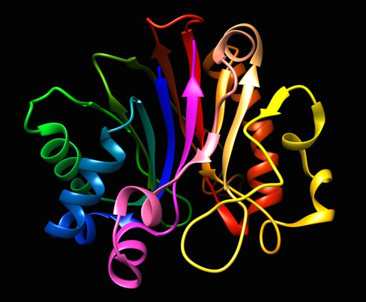 Deoxyribonuclease I