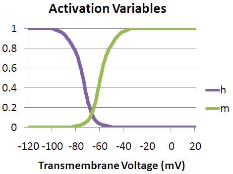 Depolarizing pre-pulse