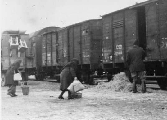 Deportations of Hungarians to the Czech lands