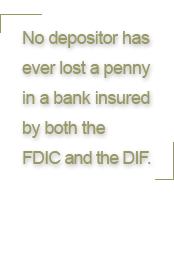 Depositors Insurance Fund httpswwwdifxscomimagesDIFESDIFEXhomel