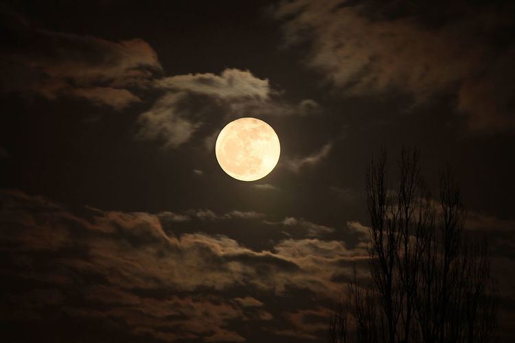 Der Mondabend (Bruckner)