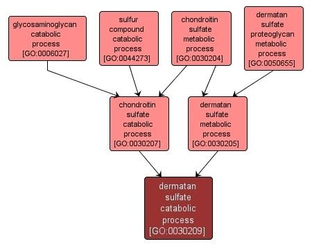 Dermatan sulfate YRC Public Data Repository Gene Ontology dermatan sulfate