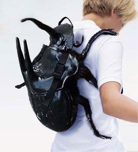 A backpack inspired by a Derobrachus geminatus