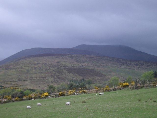Derrynasaggart Mountains httpsuploadwikimediaorgwikipediacommons99