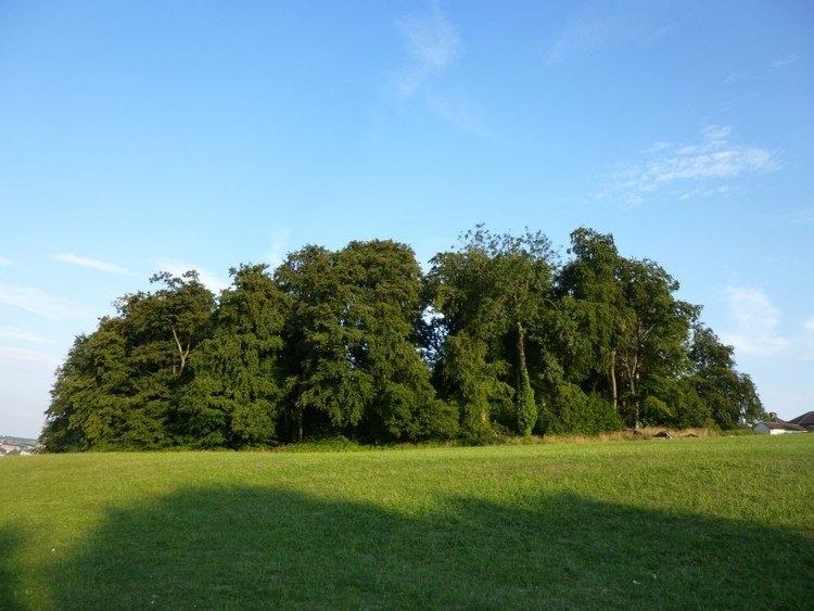 Desborough Castle Desborough Iron Age Hill Fort High Wycombe YouTube