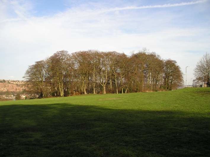 Desborough Castle Desborough Castle Hillfort The Megalithic Portal and Megalith Map