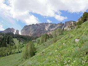 Deseret Peak Wilderness httpsuploadwikimediaorgwikipediacommonsthu