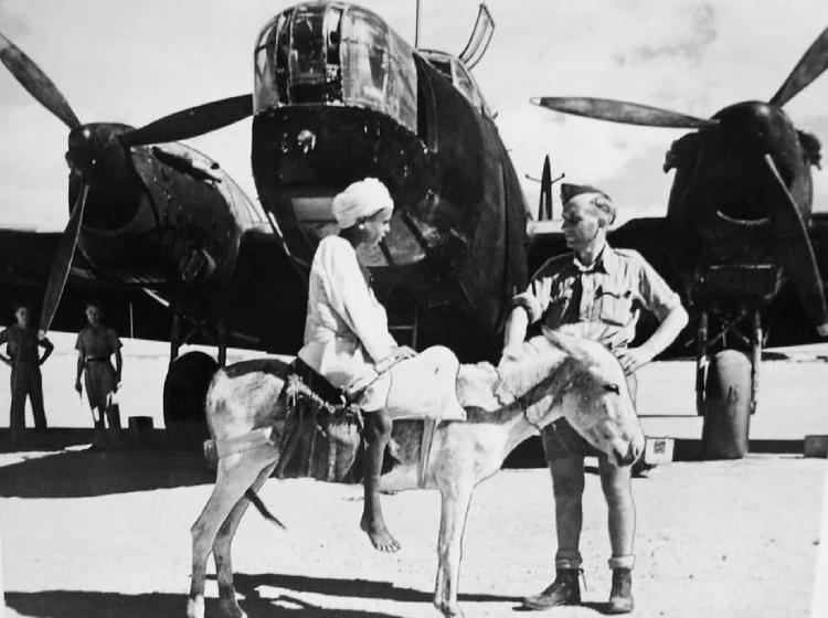 Desert Air Force World War II Western Desert North Africa Desertv Air Force