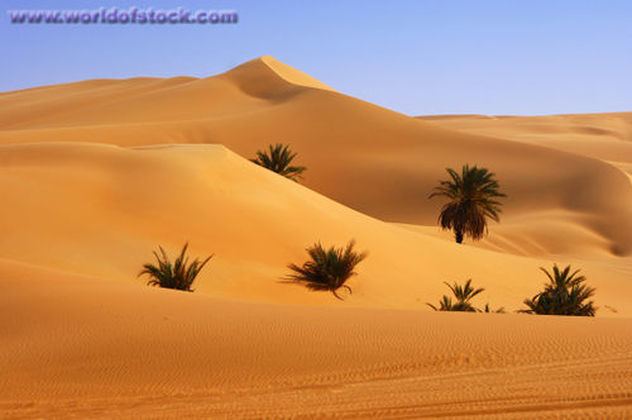 Desert climate Hot Desert Climate HotCold Deserts