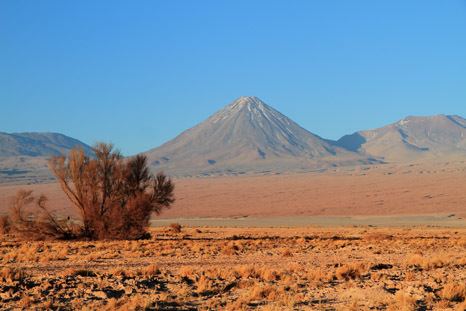 Desert climate Desert offers clue to species39 climate survival Climate Home