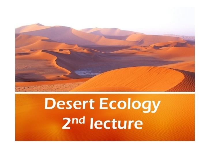 Desert ecology httpsimageslidesharecdncom2nddesertecology1