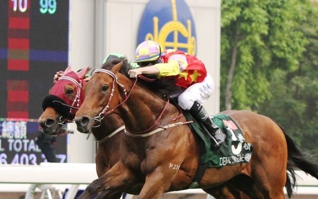 Designs On Rome Berry brilliant in Hong Kong International Horse Breeding and