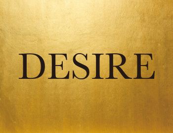 Desire Astek Inc