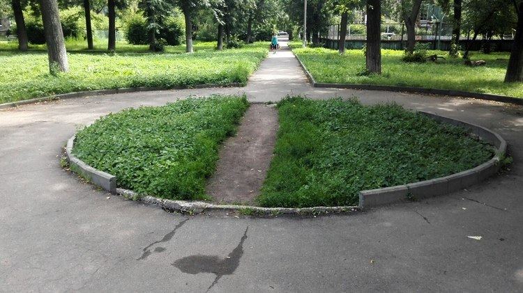 Desire path Least Resistance How Desire Paths Can Lead to Better Design 99
