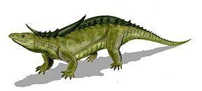 Desmatosuchus Desmatosuchus Wikipdia