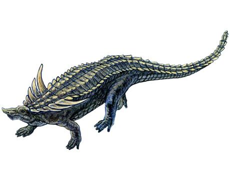 Desmatosuchus Desmatosuchus haplocerus Paleontology Pinterest