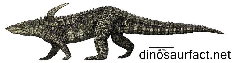 Desmatosuchus Desmatosuchus dinosaur