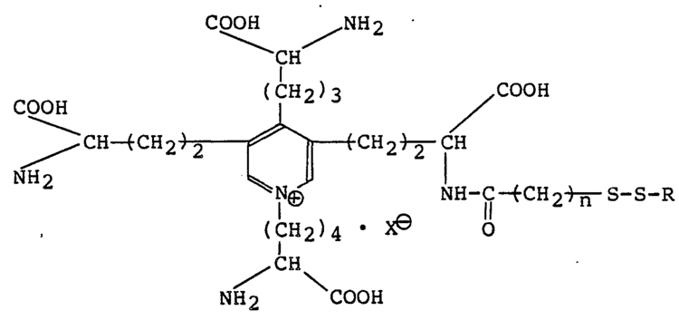 Desmosine Patent EP0196007B1 Desmosine derivatives and reagent for preparing