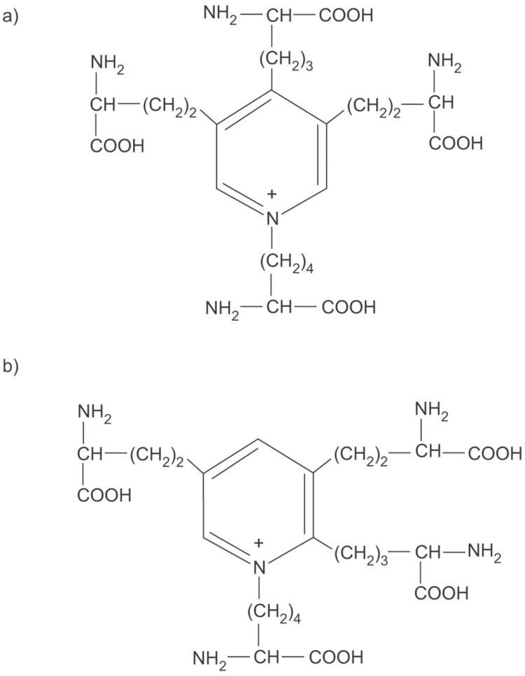 Desmosine Desmosine as a biomarker of elastin degradation in COPD current