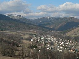 Desná (Morava) httpsuploadwikimediaorgwikipediacommonsthu