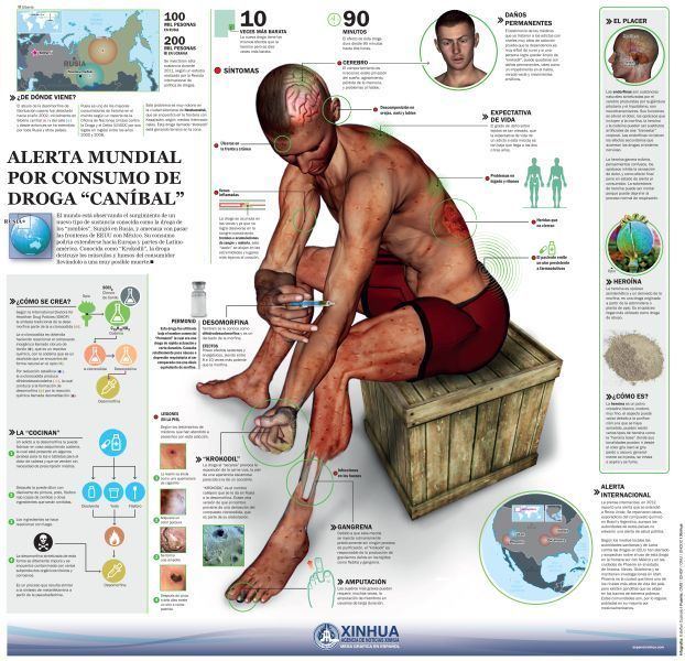 An infographic for world alert for cannibal drug use