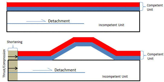 Detachment fold