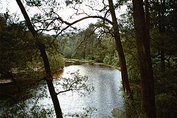 Deua River httpsuploadwikimediaorgwikipediacommonsthu