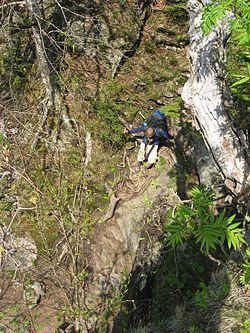 Devil's Path (hiking trail) httpsuploadwikimediaorgwikipediacommonsthu