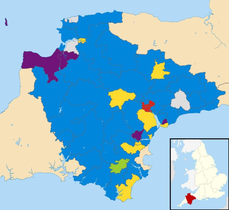 Devon County Council election, 2013