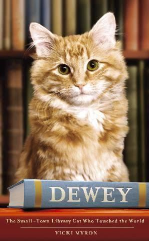 Dewey: The Small-Town Library Cat Who Touched the World t1gstaticcomimagesqtbnANd9GcRUtBFBo1JSNFf2Px