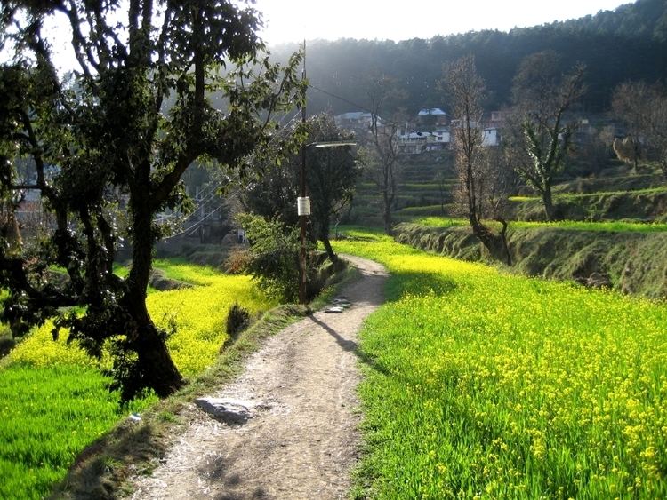 Dharamkot, Himachal Pradesh httpsuploadwikimediaorgwikipediacommons22