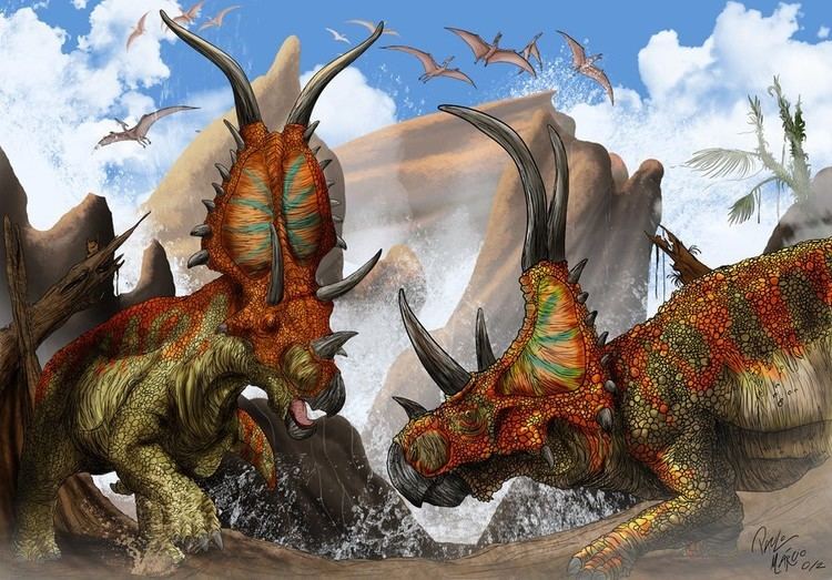 Diabloceratops Diabloceratops Pictures amp Facts The Dinosaur Database