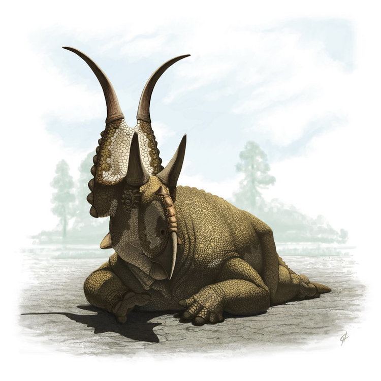 Diabloceratops Diabloceratops by Olorotitan on DeviantArt