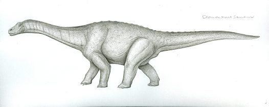 Diamantinasaurus httpsaustralianmuseumnetauUploadsImages136