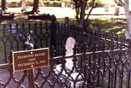 Diamond Bessie Diamond Bessie Trial of the Century Jefferson Texas