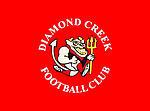 Diamond Creek Football Club httpsuploadwikimediaorgwikipediaenthumbc