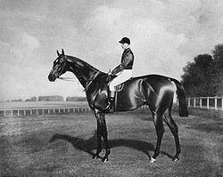 Diamond Jubilee (horse) httpsuploadwikimediaorgwikipediacommonsthu