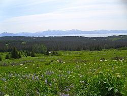 Diamond Ridge, Alaska httpsuploadwikimediaorgwikipediacommonsthu